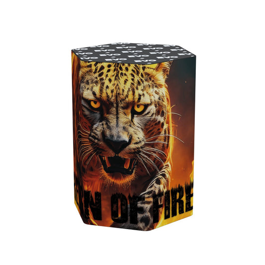 Reign Of Fire
